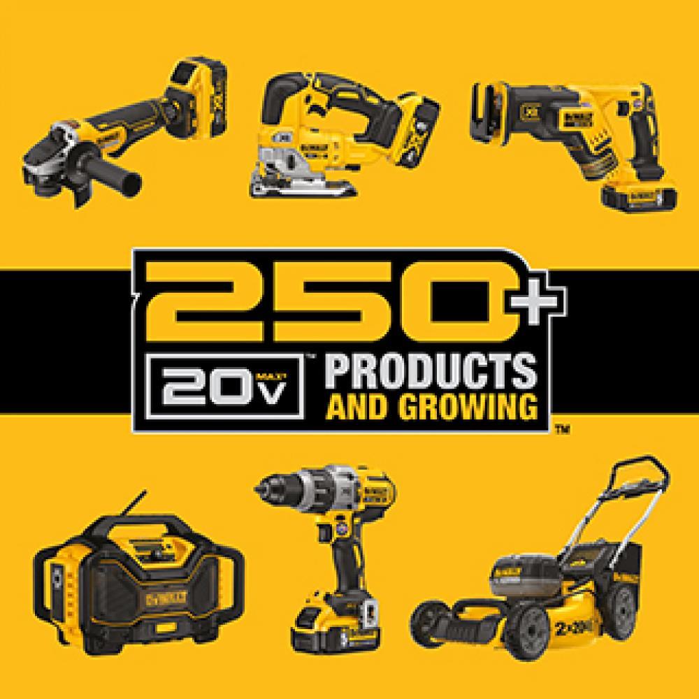 DEWALT 20V Max 3/16 Rivet Tool 2.0Ah Kit Br