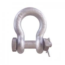 CM Columbus McKinnon M850AG - CM Columbus McKinnon Bolt & Nut Anchor Shackles
