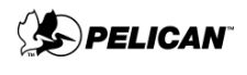 Pelican